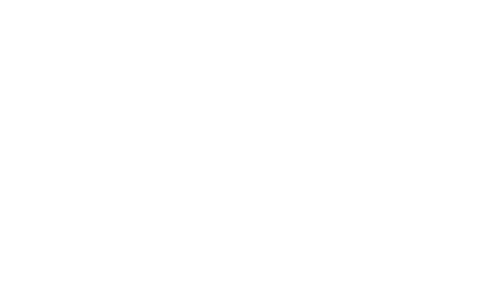 S.Ö.T.G. Genial Bau GmbH